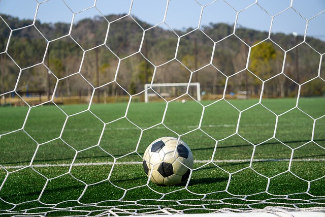 圳佳兆业的 圳佳兆业的