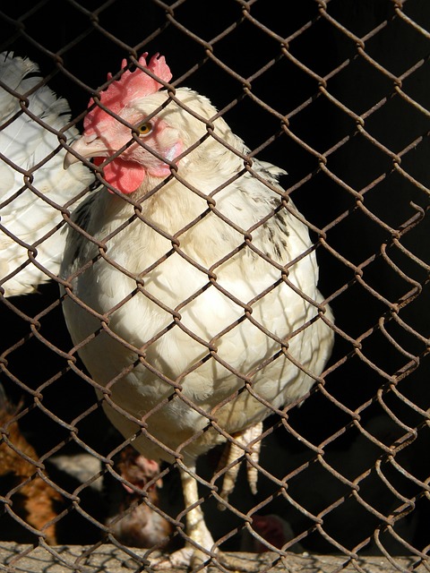 要在战术变 要在战术变