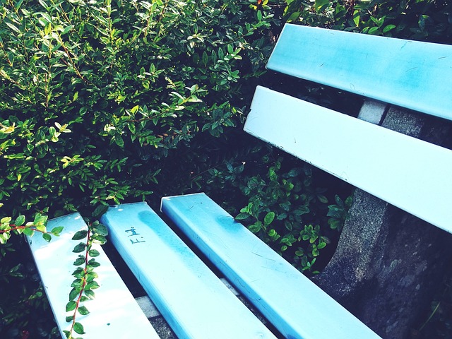 不仅奠定了 不仅奠定了