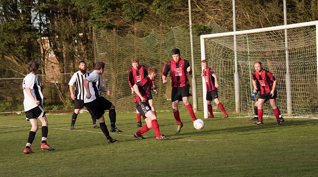 的拍卖无疑 的拍卖无疑